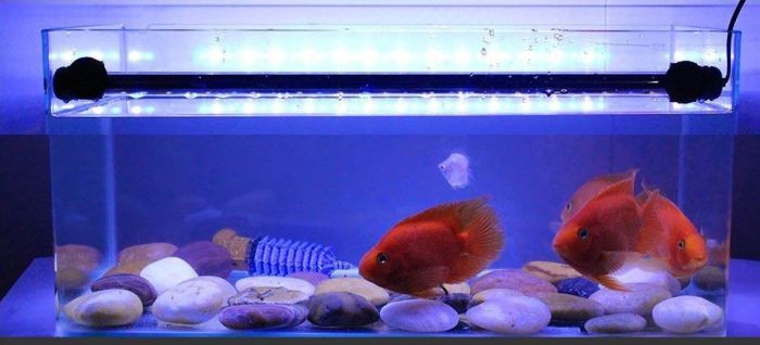 Підводне підсвічування T4-30LED Світлодіодна 3х кольорова 4W 30см біло-блакитний