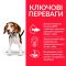 Hills SP Puppy Medium для цуценят середніх порід з куркою 2,5 кг