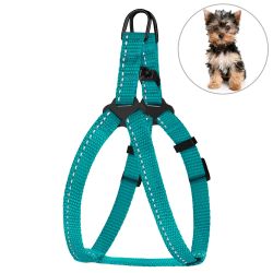 Шлея для собак BronzeDog Бірюза пластиковий фастекс 1225 68Т 10мм (33-40см)