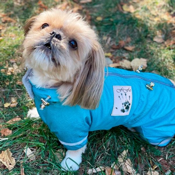 Єдність комбінезон для собак хлопчиків велсофт без силікону S1