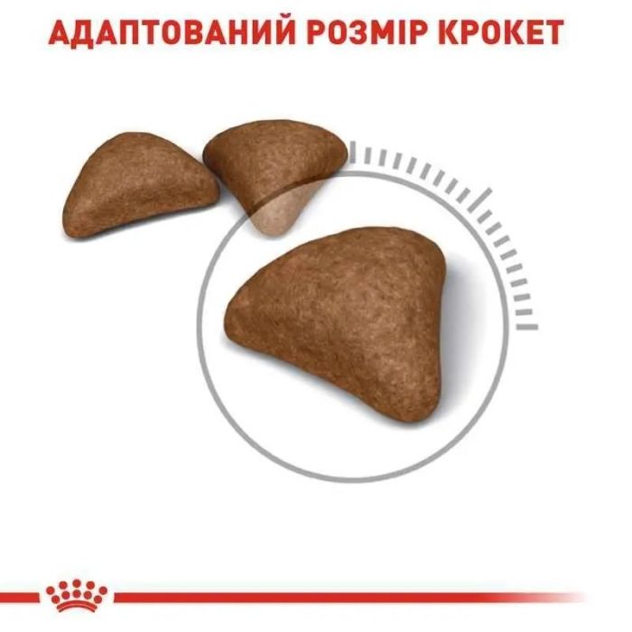 АКЦІЯ Royal Canin Urinary Care профілактика сечокамяної хвороби набір корму для котів 2 кг + 4 паучі 