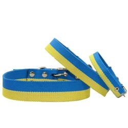 Нашийник економ брезент одинарний патріот 25 мм