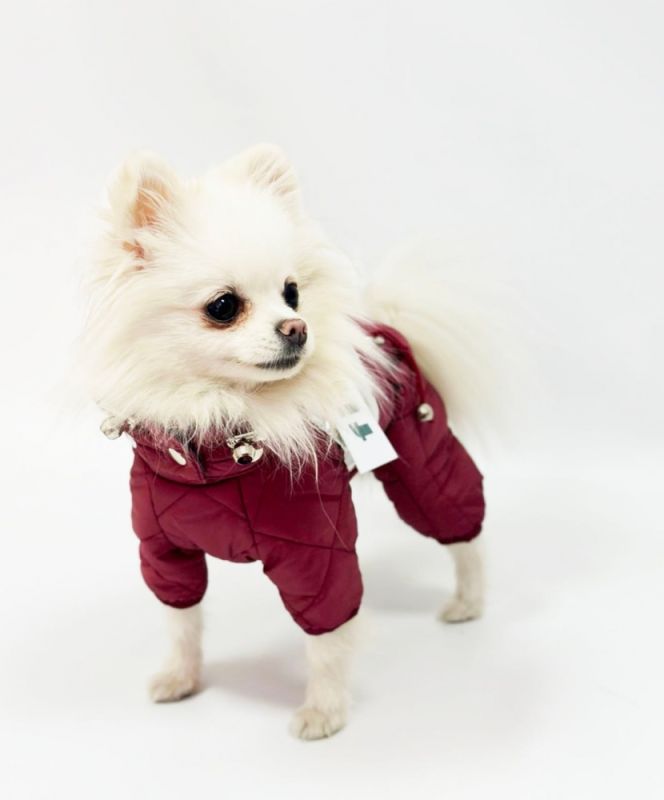 Комбінезон Міла стьобаний силікон (дівчинка) S1