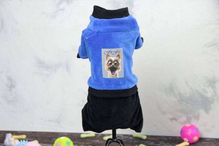 Кузя комбінезон для собак хлопчиків велюр S1