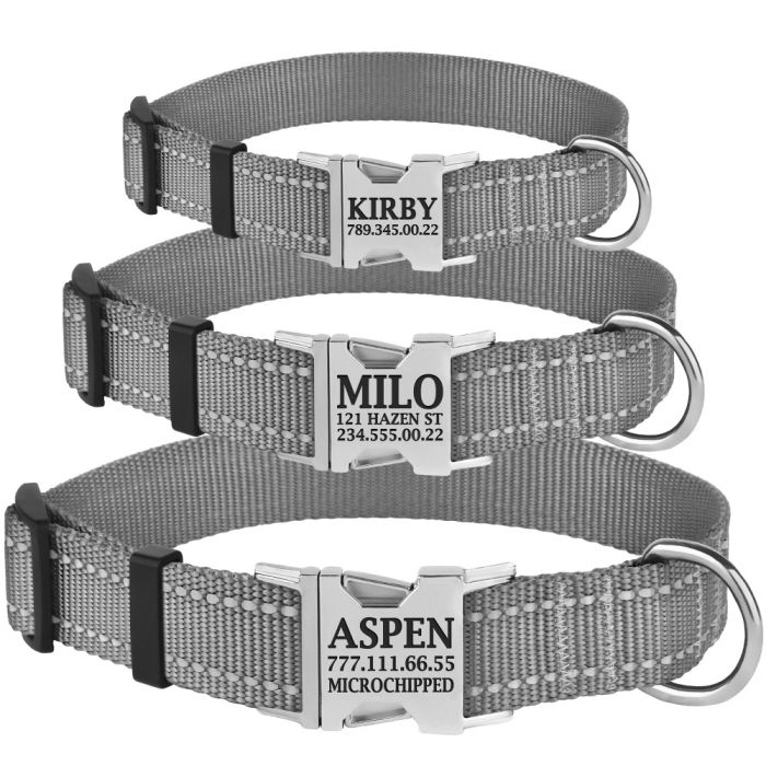 Нашийник для собак BronzeDog 16 мм (25-33 см) Сірий Металевий фастекс 1311 32Т 