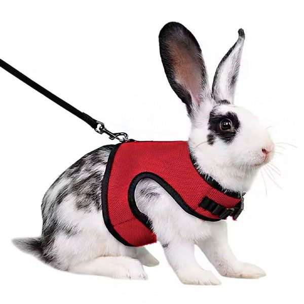 Шлейка з повідком для гризунів червона (25-40см1,2м) 