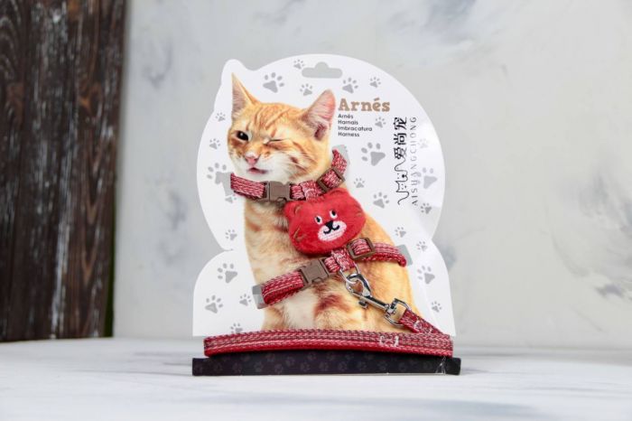 Комплект Котик, шлея з повідцем для кішки Червона Обєм грудей 29-43 см