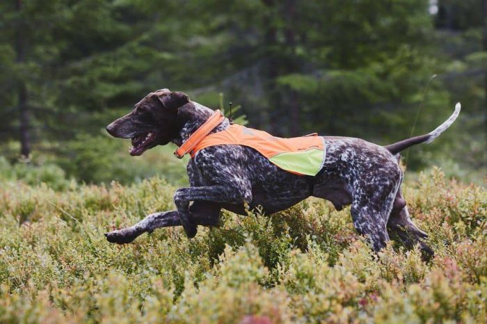 Світловідбивна накидка Protector cover Non-stop dogwear Помаранчевий XL