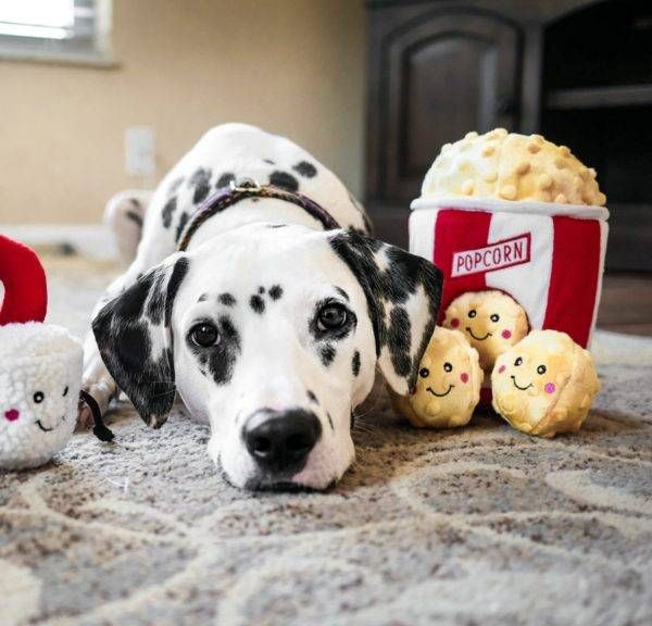 М'яка іграшка відро для попкорну ZippyPaws Zippy Burrow Popcorn Bucket з пискавкою