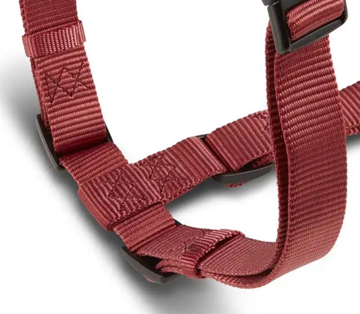 Анатомічна шлейка для собак Wolters Professional XS 25-35 см / 10 мм Бордовий