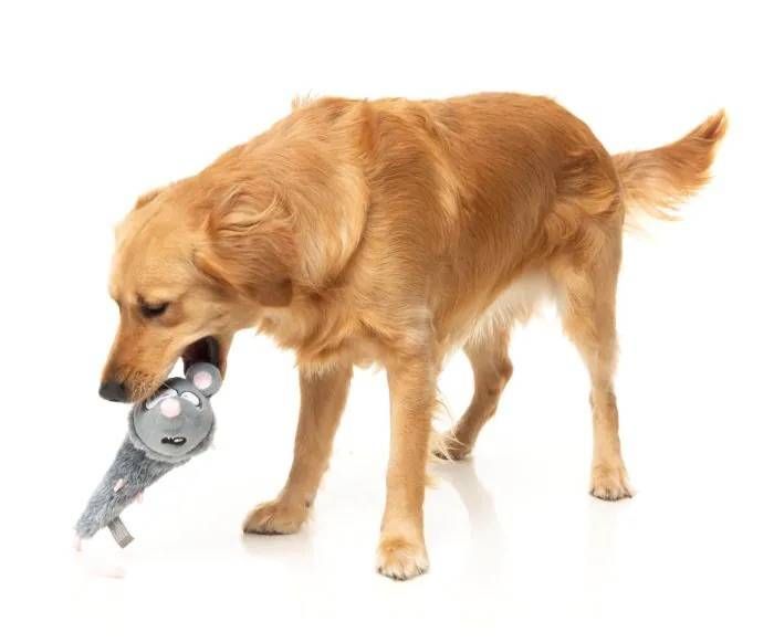 М'яка іграшка для собак FuzzYard Криска