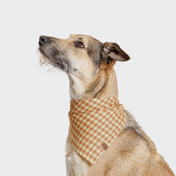 Бандана для собак Cloud7 Check Помаранчевий M