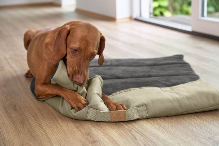 Складаний килим для собак Palopa Alma Хакі S