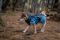 Тепла зимова куртка для собак Glacier jacket 3.0 Non-stop dogwear Бірюзовий 90