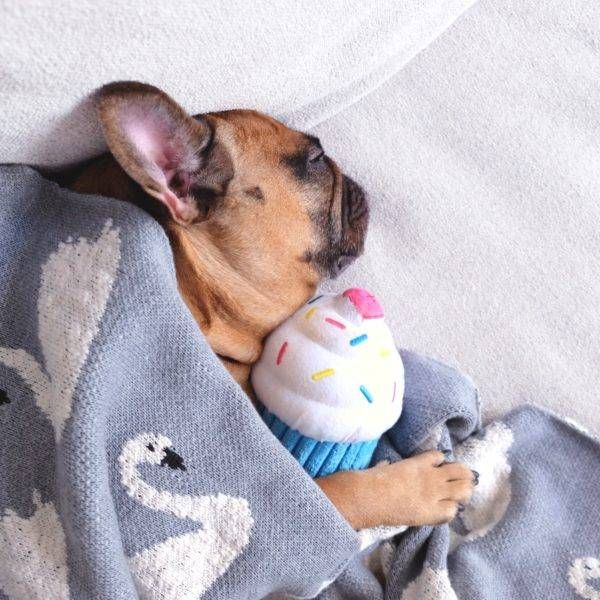 М'яка іграшка для собак кекс ZippyPaws Cupcake Blue з пищалкою