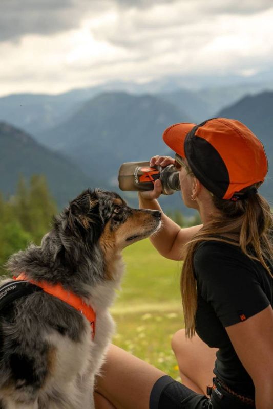 Пляшечка для собак NSD Soft flask Non-stop dogwear Сірий 500 мл