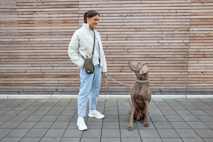 Сумка-термос для пляшки та аксесуарів для собак Palopa Boudi Оливковий