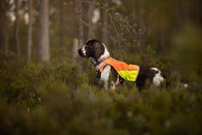 Світловідбивний жилет Protector vest Non-stop dogwear Помаранчевий 2XS