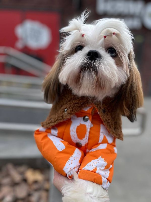 Сахара комбінезон на овчині і силіконі для собак дівчаток M