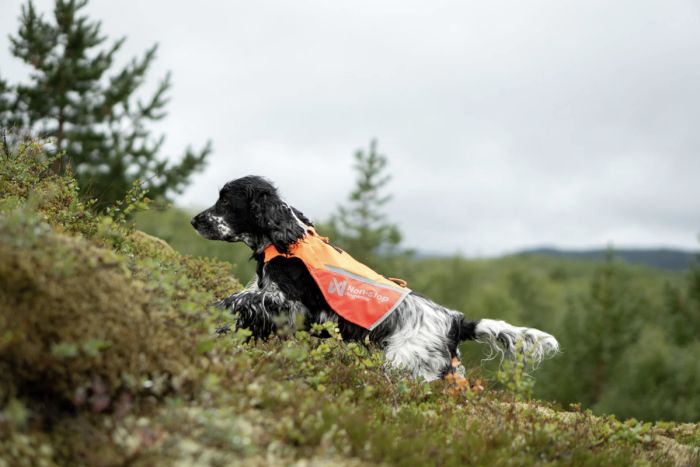 Жилет для собак Non-stop dogwear Protector vest 2.0 Помаранчевий S