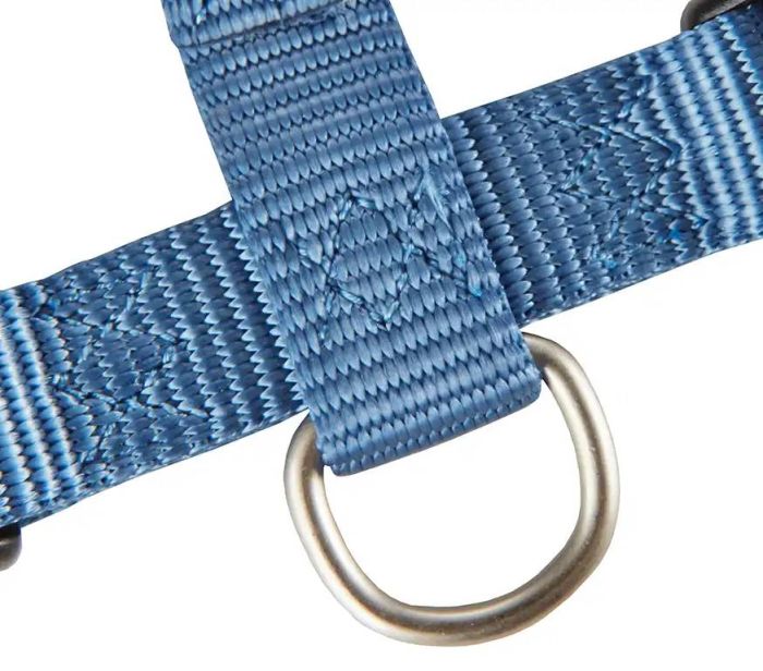 Анатомічна шлейка для собак Wolters Professional L 50-70 см / 20 мм Синій