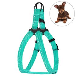 Шлея для собак BronzeDog ментолова пластиковий фастекс 1308 68Т 10мм (33-40см)