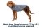 Светр для собак Ruffwear Hemp Hound™ M Синій