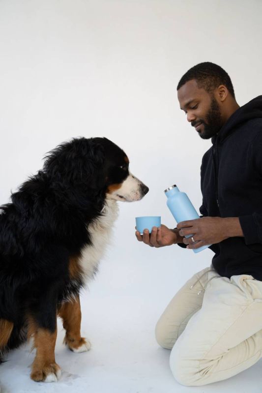 Термос із спеціальною мискою для собак Springland Блакитний 710 мл + 240 мл