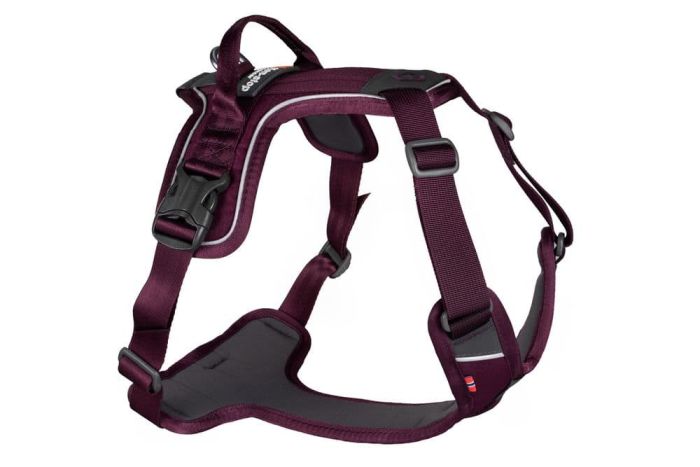 Шлейка для собак Ramble harness Non-stop dogwear Фіолетовий XL