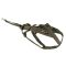 Шлейка для собак Freemotion harness defense Non-stop dogwear Зелений 5