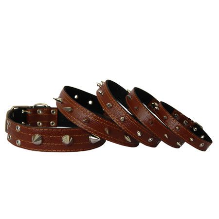 Нашийник для собак з шипами, коричневий 43-57 см