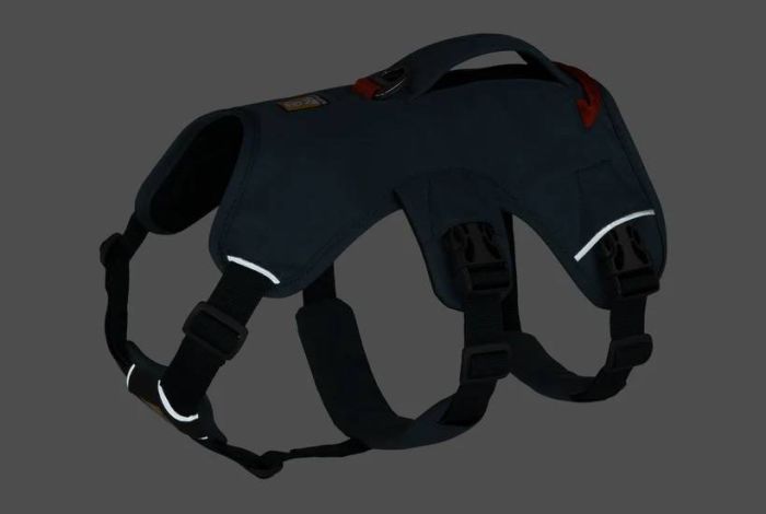 Підтримуюча шлейка для службових собак Ruffwear Web Master™ S 56-69 см Синій