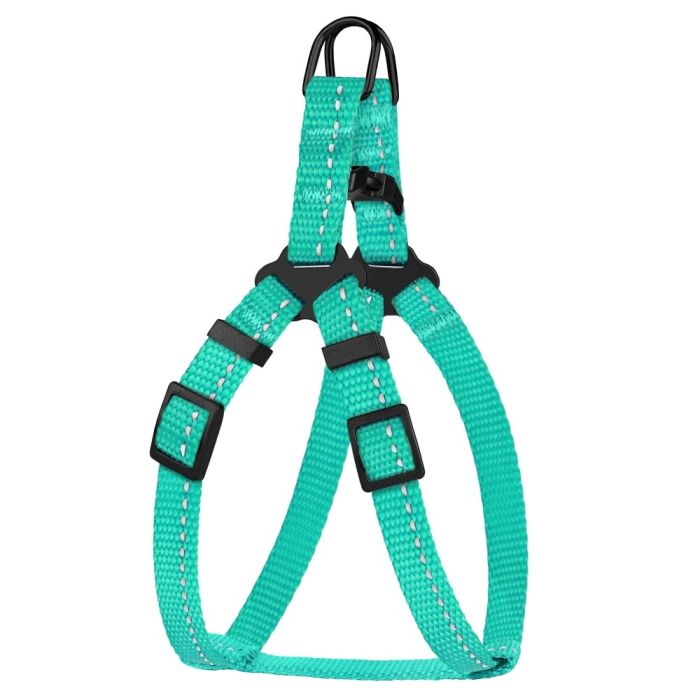 Шлея для собак BronzeDog ментолова пластиковий фастекс 1308 68Т 10мм (24-30см)