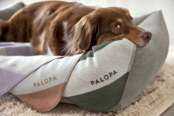 Плед для собак Palopa Ida M Рожево-фіолетова смужка