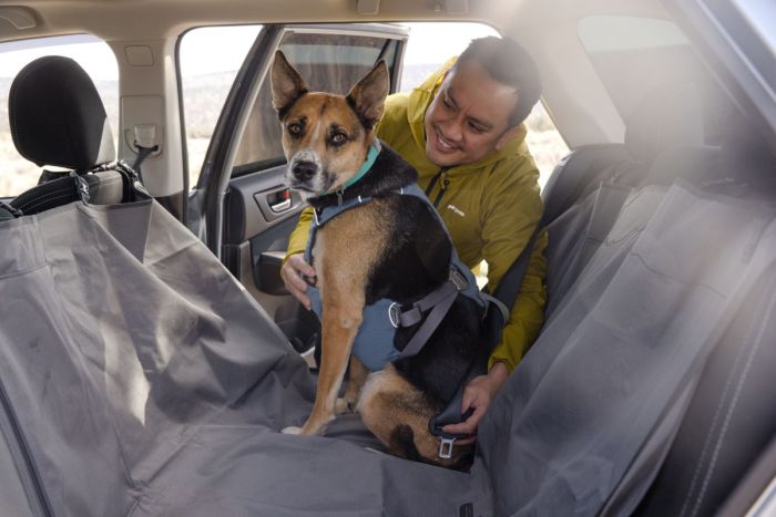 Автошлейка для собак Ruffwear Load Up™ M 69-81 см Синій