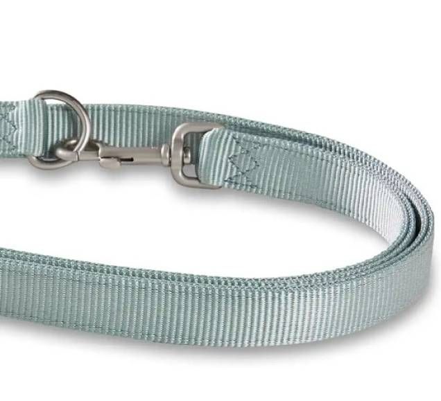 Повідець перестібка з нейлону для собак маленьких порід та котів Wolters Professional S 2 м / 10 мм Зелений