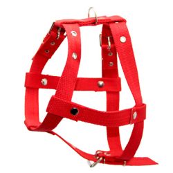 Шлея економ Одинарна Червона 25 мм