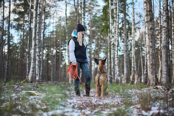 Повідець для собак Friction long line Non-stop dogwear Помаранчевий 10 м