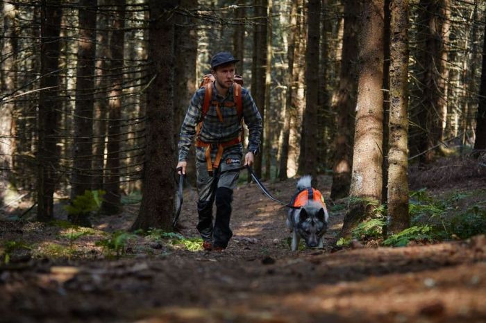 Світловідбивний жилет Protector vest GPS Non-stop dogwear Помаранчевий XS