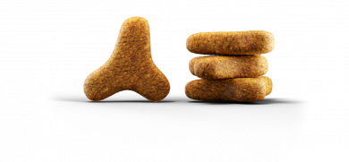 Josera Naturelle Sterilised - Беззерновой корм для стерилізованих кішок 2 кг