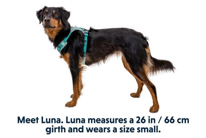 Полегшена шлейка для собак Ruffwear Hi & Light™ S 56-69 см Зелений