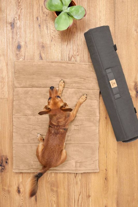 Складаний килим для собак Palopa Alma Сірий S