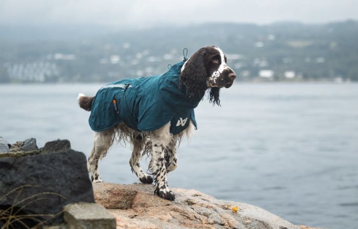 Дощовик для собак Non-stop dogwear Fjord lined Зелений 60