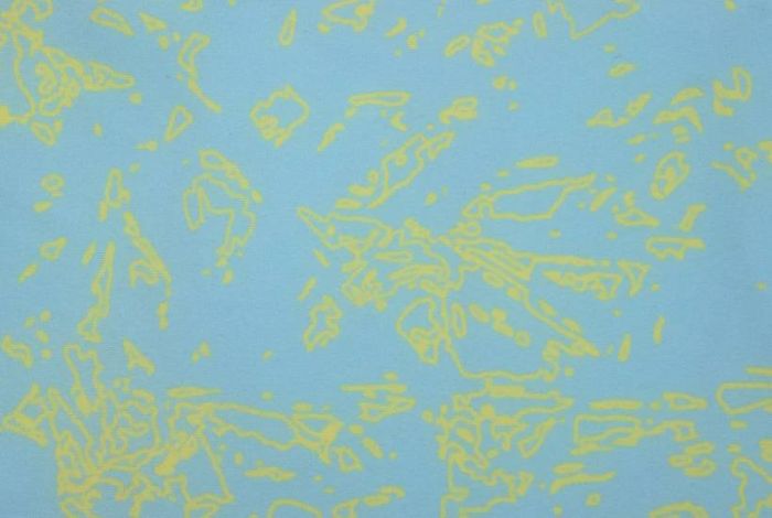 Охолоджуючий бафф на шию собаці Ruffwear Swamp Cooler™ M Рожево-синій