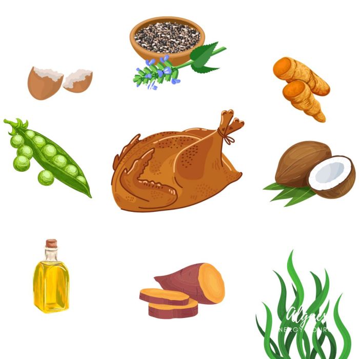 Натуральний вологий корм для собак Cooka's Cookies 85% Індичка з овочами, фруктами та насінням чіа 400 г