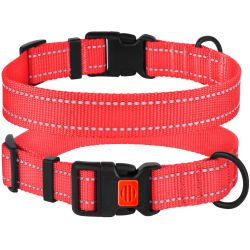 Нашийник для собак BronzeDog Корал пластиковий фастекс 1224 51Т 20мм (30-40см)