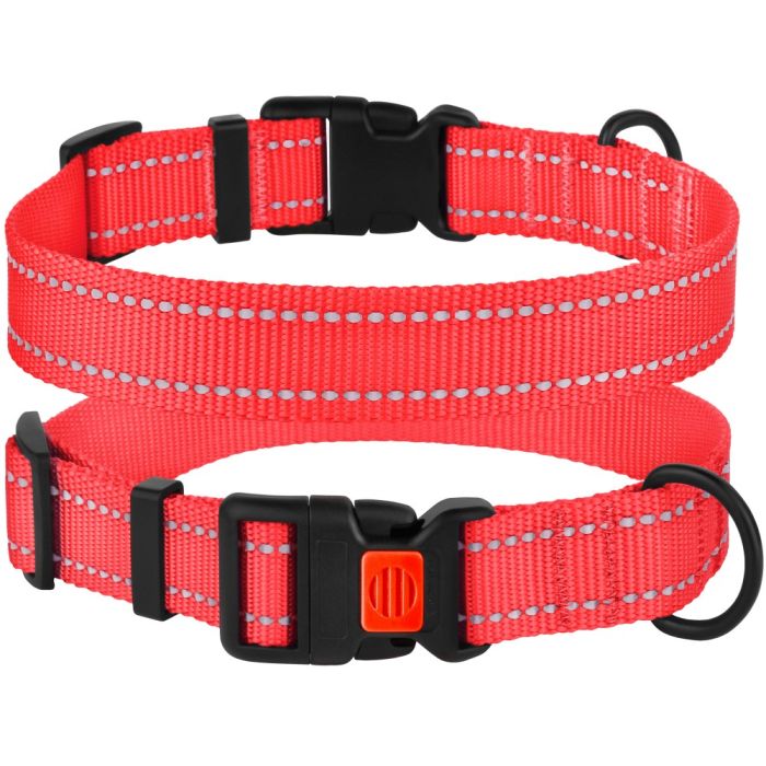 Нашийник для собак BronzeDog Корал пластиковий фастекс 1224 51Т 20мм (30-40см)