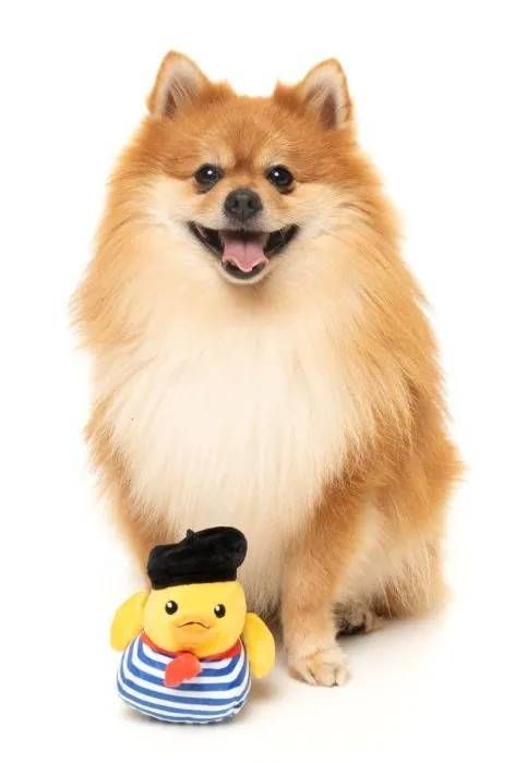 М'яка іграшка для собак FuzzYard Качечка Тімоті Чалаквак S