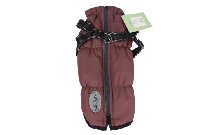 Арктика жилет для собак дівчаток зі шлеєю XS