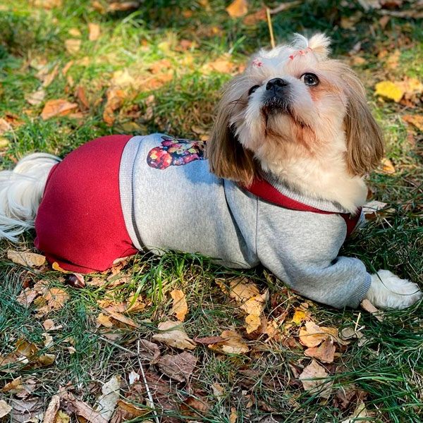 Комбінезон Белла трикотаж на флісі (дівчинка) S1